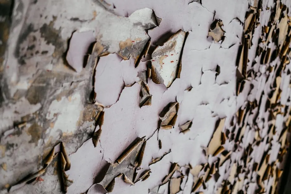 Detailed view of peeling paint on aged, textured wall, showcasing decay and pattern.