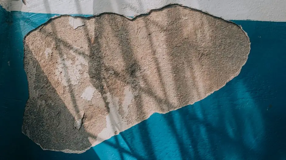 Our Expertise in Ceiling Mold Remediation